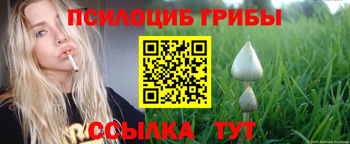 Новокубанск  Кокаин  Марихуана  Меф МЯУ МЯУ   MDMA  LSD-25  ГАШ  Вход с VPN  ГАШИШ 
