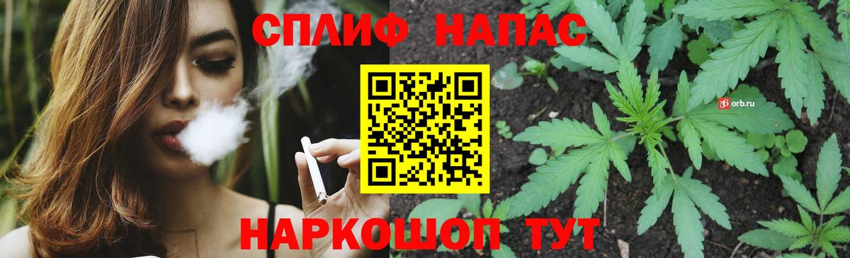 Бошки марихуана White Widow  Вход с VPN  МАРИХУАНА White Widow  Каннабис SATIVA & INDICA  Каннабис MAZAR  Новокубанск 